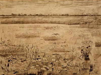 Moeraslandschap met waterlelies door Vincent van Gogh