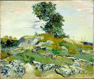 De rotsen door Vincent van Gogh