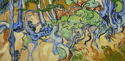  door Vincent van Gogh