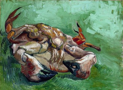 Een krab op zijn rug door Vincent van Gogh