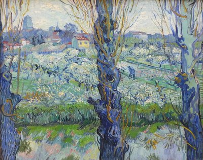  door Vincent van Gogh