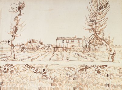 Werk op de Velden in Arles door Vincent van Gogh