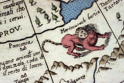 Voorstelling van een manticore, een fantastisch wezen met een menselijk hoofd (vaak met hoorns, blauwe ogen en drie rijen tanden), en een schorpioen- of drakenstaart en een leeuwenlichaam. Detail van een wereldkaart door Vincenzo coronelli (1650-1718). 17e door Vincenzo Maria Coronelli