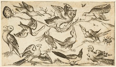 Elf vogels en twee insecten op minimale grond met uil met uitgespreide vleugels door Virgil Solis