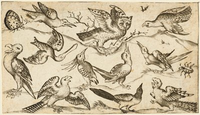 Elf vogels en twee insecten op minimale grond met een uil met uitgestrekte vleugels zittend op een tak in het midden met andere vogels eromheen die de uil plagen, uit Douce Ornament Prints Album I, na 1572 door Virgilius the elder (after) Solis