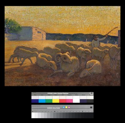 Zonsondergang met schapen door Vittorio Bolaffio