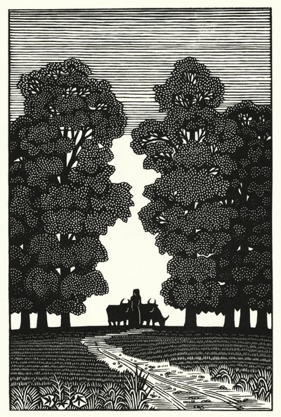 Illustratie voor Tess Of The D