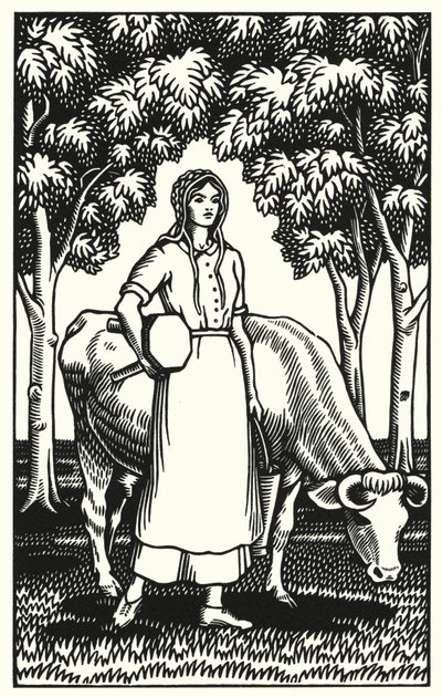 Illustratie voor Tess Of The D