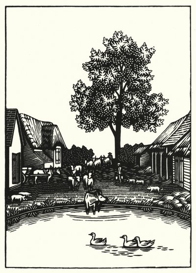 Illustratie voor Tess Of The D