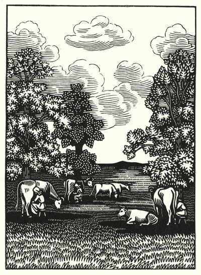Illustratie voor Tess Of The D