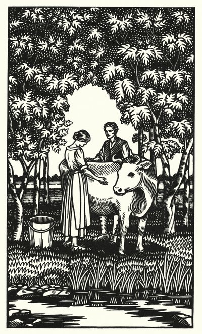 Illustratie voor Tess Of The D