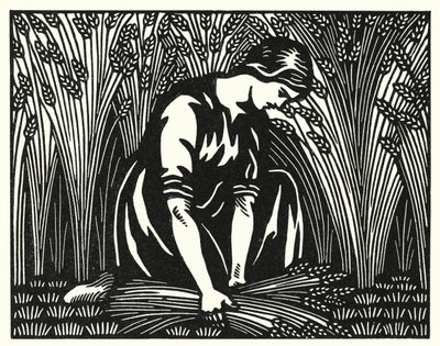 Illustratie voor Tess Of The D