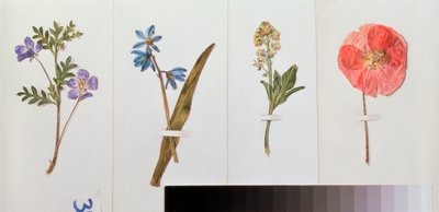 Vier vellen schrijfpapier door Vladimir Pavlovich Sokolov