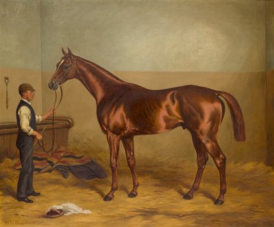 Sir Hugo als driejarige vastgehouden door een stalknecht, ca. 1875-92 door W.H. Hopkins