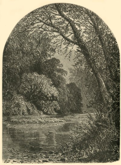 Moss Islands, in de Juniata, 1874 door W.H. Morse