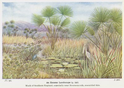 Een Eoceen Landschap door W. J. Stokoe