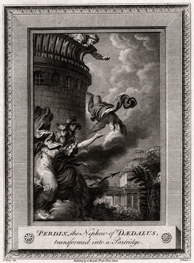 Perdix, de neef van Daedalus, veranderd in een patrijs, 1774 door W. Walker