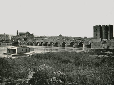 De Romeinse Brug, Cordoba, Spanje door W and S Ltd