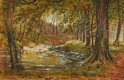Een bosglade door Waller Hugh Paton