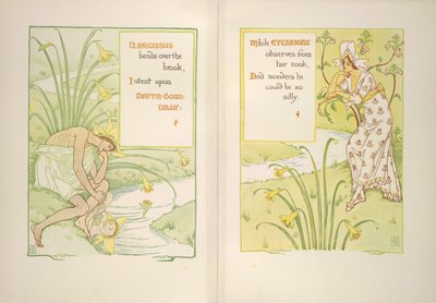 Narcissus en ogentroost door Walter Crane