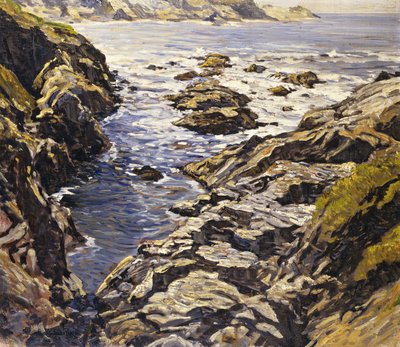 Rotsachtige Kust door Walter Elmer Schofield