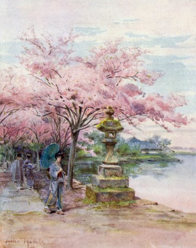 Kersenbloesem en stenen lantaarn, Ueno Park door Walter Frederick Roofe Tyndale