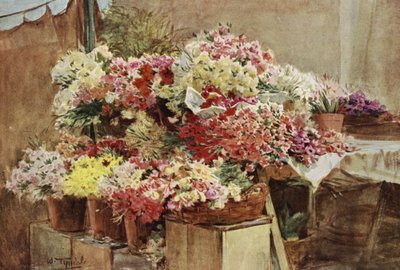 Bloemenkraam, Mentone Markt door Walter Frederick Roofe Tyndale