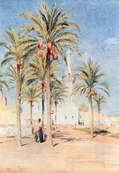 De moskee van Aboukir (kleurenlitho) door Walter Frederick Roofe Tyndale