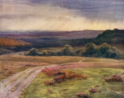 Het New Forest: Boldrewood Walk, Puck Pitts, vanaf de Fritham Road door Walter Frederick Roofe Tyndale