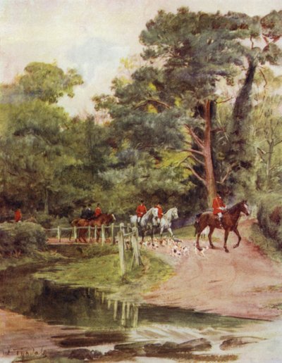 Het New Forest: Minstead Brook door Walter Frederick Roofe Tyndale