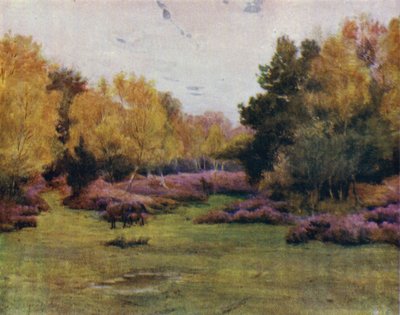 Het New Forest: Rushpole Wood, Lyndhurst door Walter Frederick Roofe Tyndale