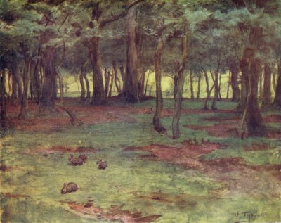 Het Nieuwe Woud: De bossen in Setley Plain door Walter Frederick Roofe Tyndale