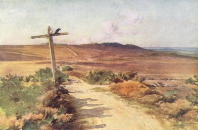 Wessex: Bere Heath in de herfst, met Gallows Hill in de verte door Walter Frederick Roofe Tyndale