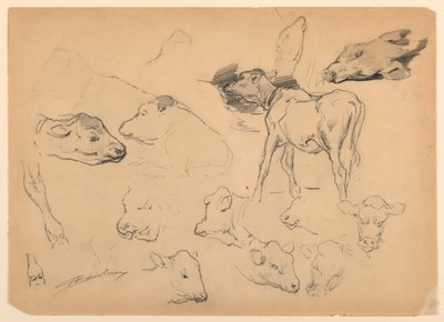Studies van Vee, Hoofden van Schapen en een Varken door Walter Shirlaw