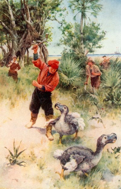 Nederlandse zeelieden achtervolgen dodo
