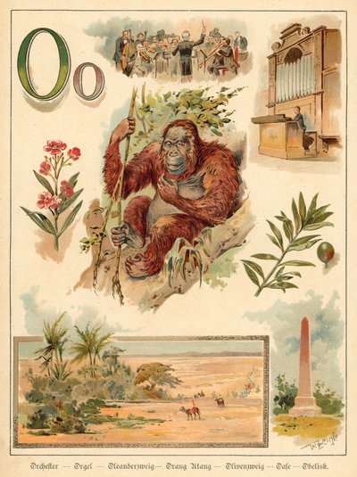 Letter O door Walter Zweigle