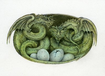 Amphisbaena door Wayne Anderson