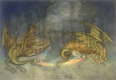 Vechtende draken door Wayne Anderson