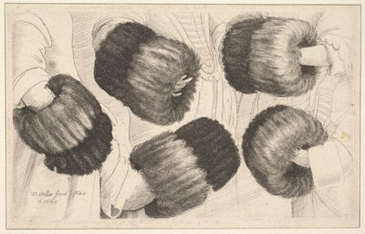 Een mof in vijf aanzichten, 1645-46 door Wenceslaus Hollar