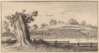 Albury door Wenceslaus Hollar