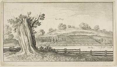 Albury met boomstronk op de voorgrond door Wenceslaus Hollar