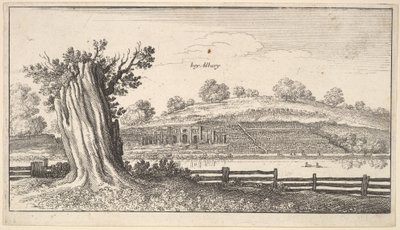 Albury met Boomstronk op de Voorgrond door Wenceslaus Hollar