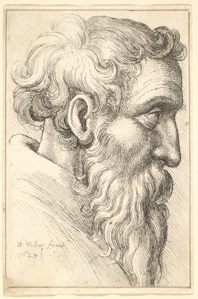 door Wenceslaus Hollar