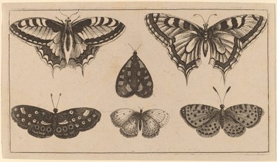 Vijf Vlinders en een Mot door Wenceslaus Hollar