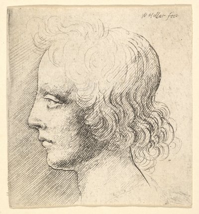  door Wenceslaus Hollar