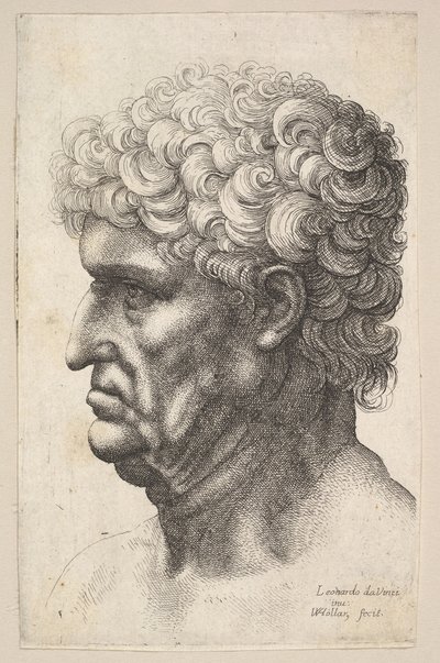 Hoofd van een man met dik krullend haar in profiel naar links door Wenceslaus Hollar