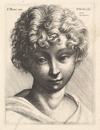 Hoofd van een jong meisje, 1645 door Wenceslaus Hollar