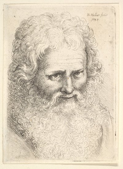  door Wenceslaus Hollar