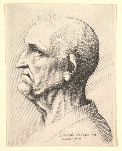Hoofd van een oude man met krullend haar rond het oor in profiel naar links door Wenceslaus Hollar