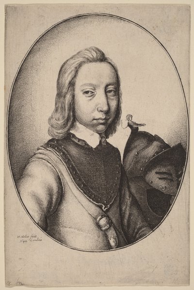  door Wenceslaus Hollar
